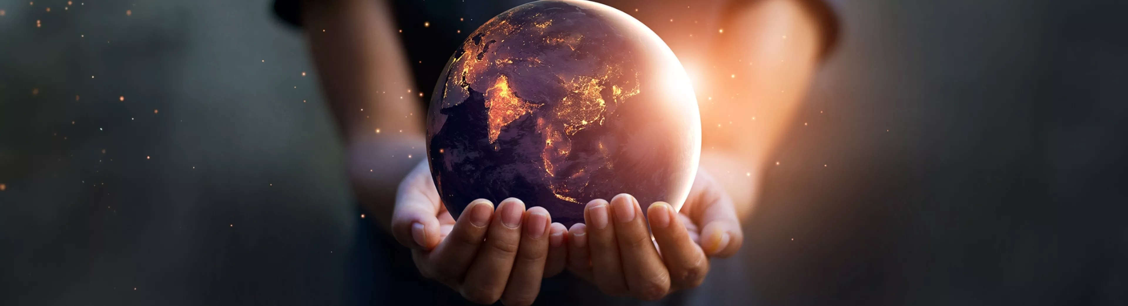 Global network visualization